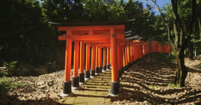 Rush Foil Photo Sim Review

