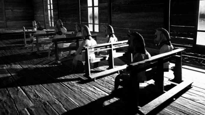 CD Projekt's PC Game Storefront GOG Gets Behind Horses After Valve Steam Ban: 'Players Should Be Able to Choose the Experiences That Speak to Them'